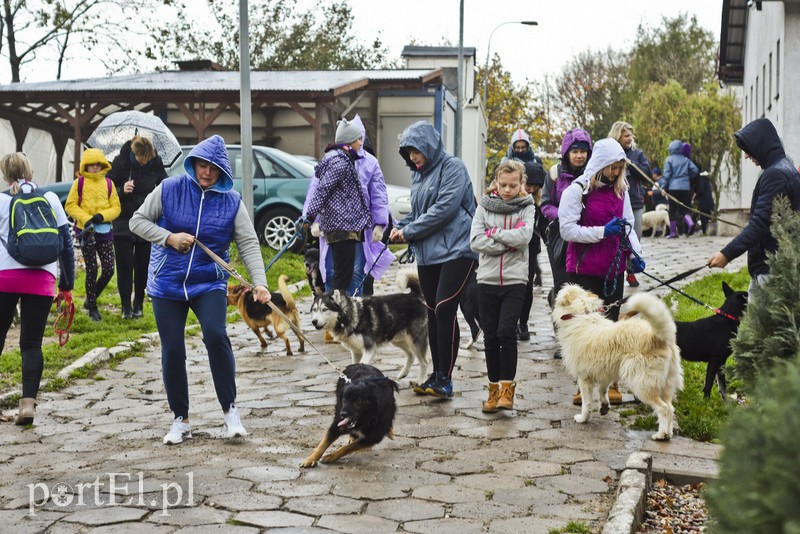 Biegiem na spacer! zdjęcie nr 187617