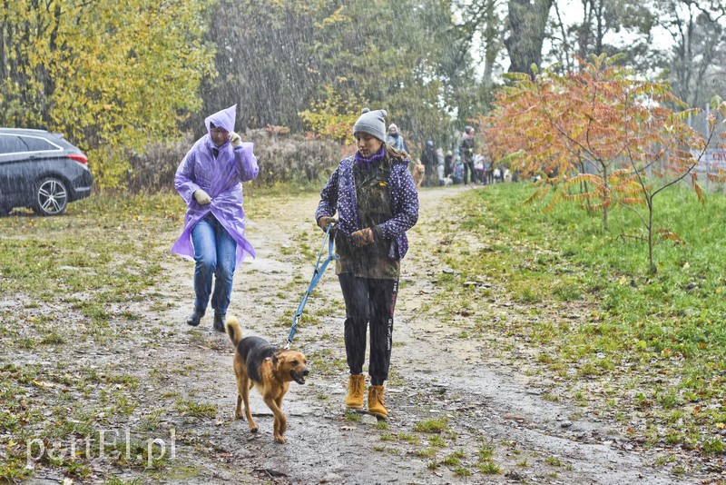 Biegiem na spacer! zdjęcie nr 187622