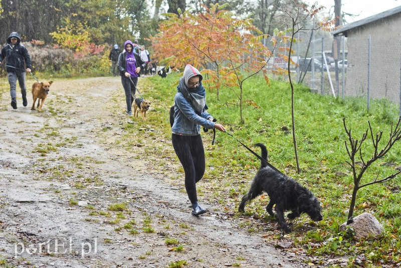 Biegiem na spacer! zdjęcie nr 187623