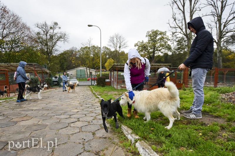 Biegiem na spacer! zdjęcie nr 187615