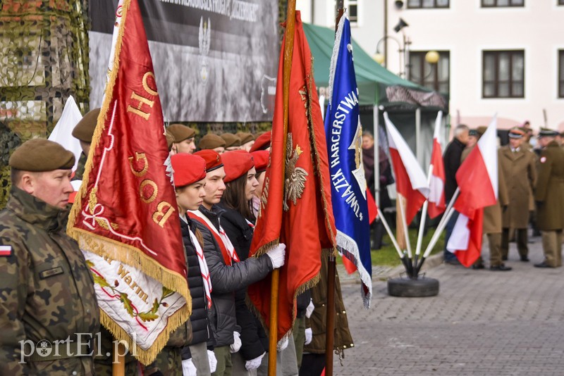 Ochotnicy stali się żołnierzami zdjęcie nr 187673