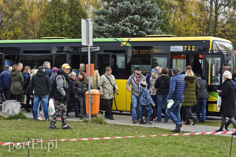 Tak było dzisiaj na elbląskich nekropoliach zdjęcie nr 188068