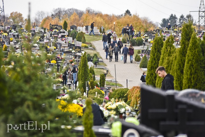 Tak było dzisiaj na elbląskich nekropoliach zdjęcie nr 188056