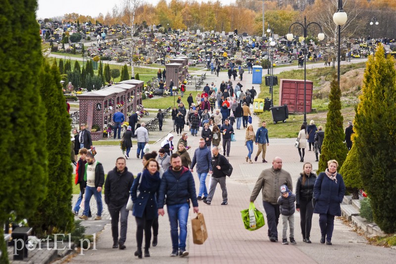 Tak było dzisiaj na elbląskich nekropoliach zdjęcie nr 188064