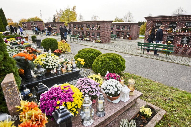 Tak było dzisiaj na elbląskich nekropoliach zdjęcie nr 188060