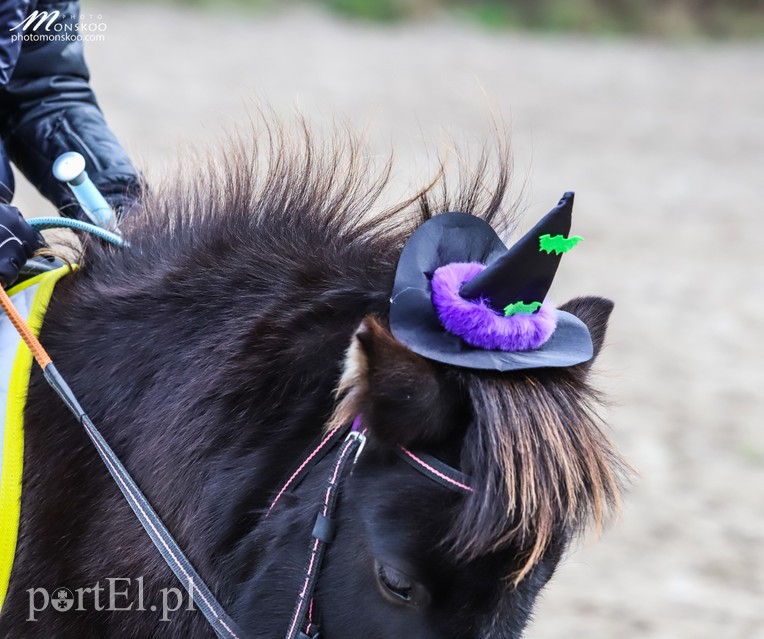 Straszne zawody z cyklu Pony Cup za nami zdjęcie nr 188387