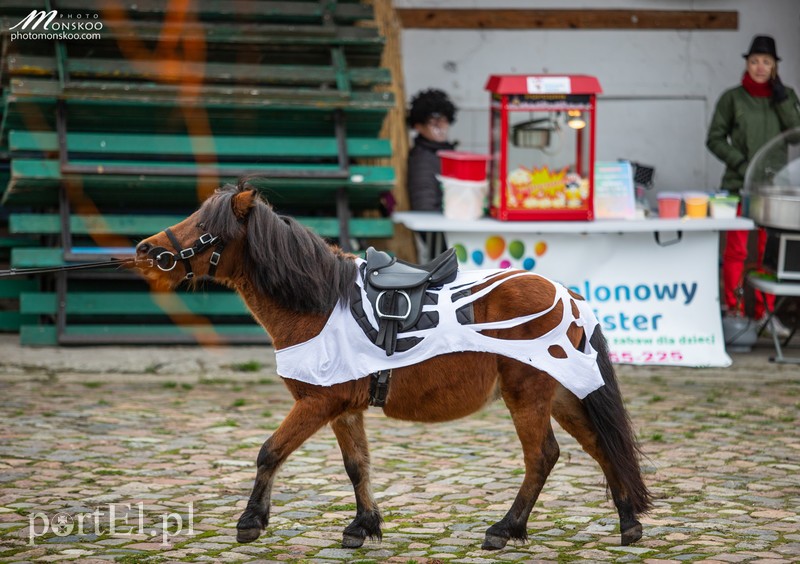 Straszne zawody z cyklu Pony Cup za nami zdjęcie nr 188383