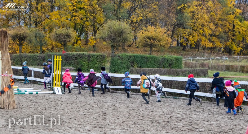 Straszne zawody z cyklu Pony Cup za nami zdjęcie nr 188381