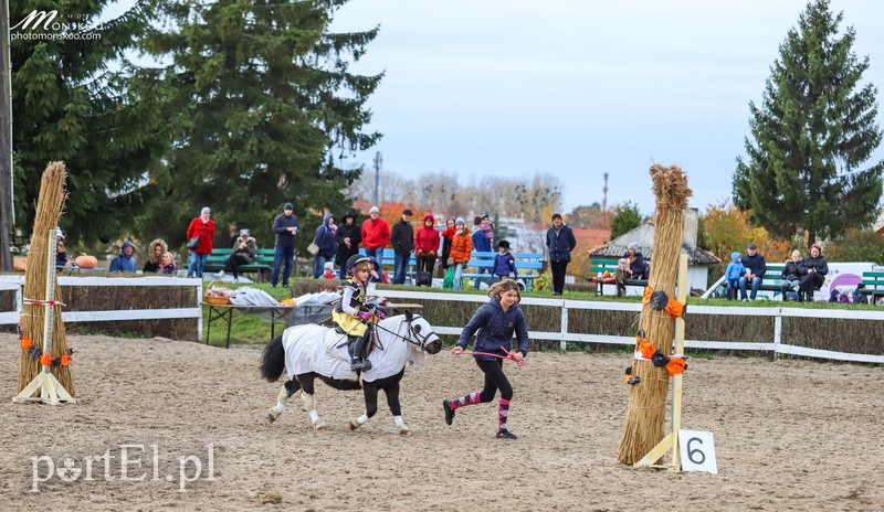 Straszne zawody z cyklu Pony Cup za nami zdjęcie nr 188385