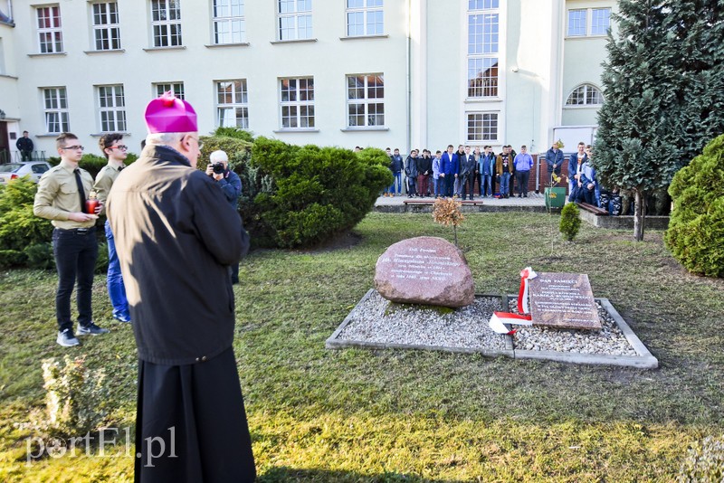 ZSZ dąb pamięci zdjęcie nr 188408