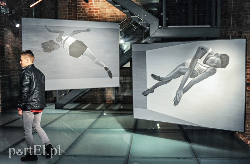 Galeria EL prezentuje zdjęcie nr 188658