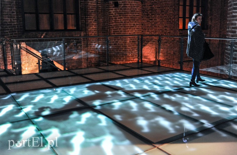 Galeria EL prezentuje zdjęcie nr 188661