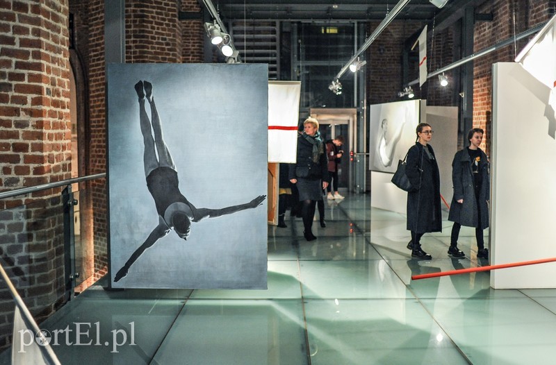 Galeria EL prezentuje zdjęcie nr 188657