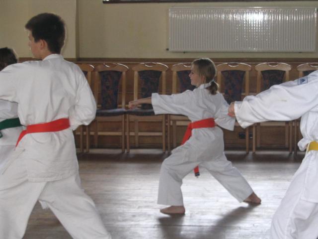 Karatecy w Karnitach zdjęcie nr 15128