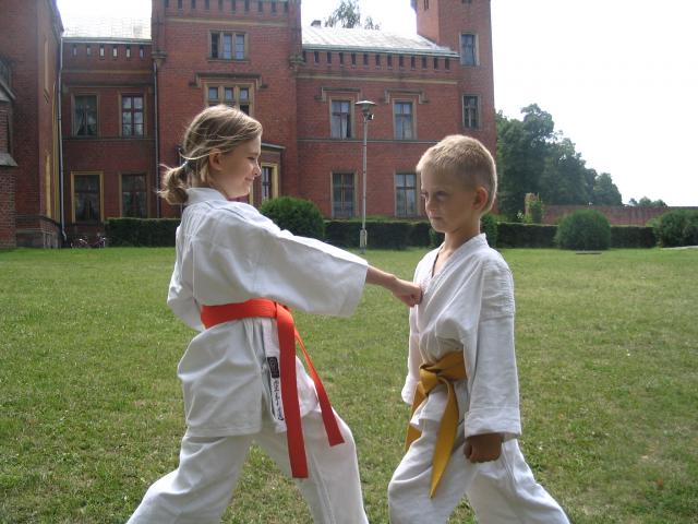 Karatecy w Karnitach zdjęcie nr 15131