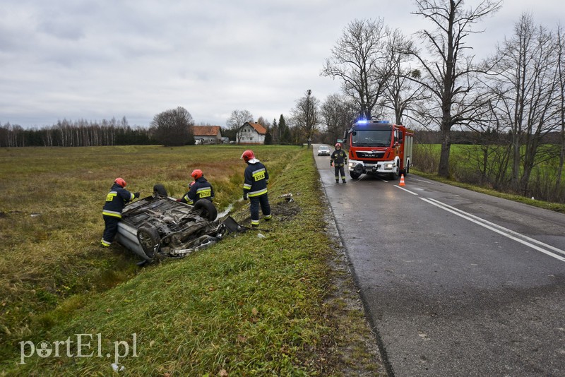 Dachowanie koło Próchnika zdjęcie nr 189337