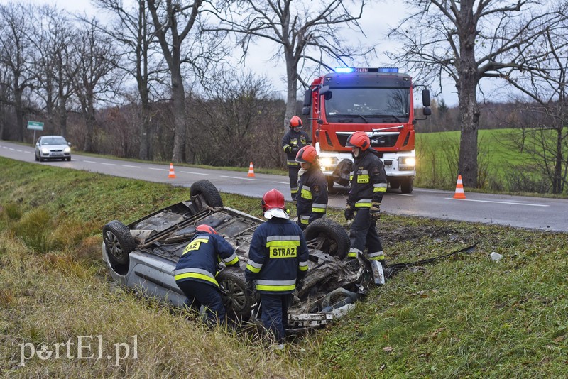 Dachowanie koło Próchnika zdjęcie nr 189338