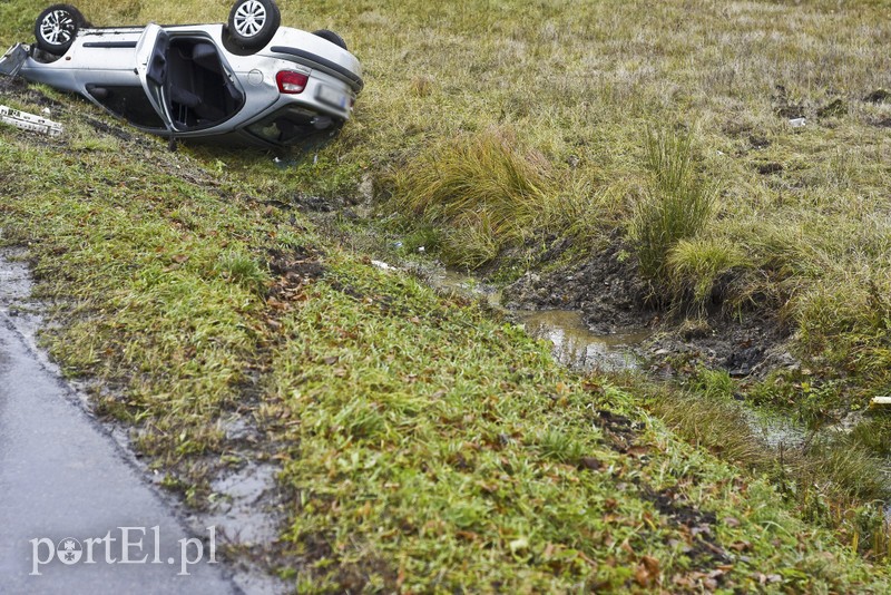 Dachowanie koło Próchnika zdjęcie nr 189333