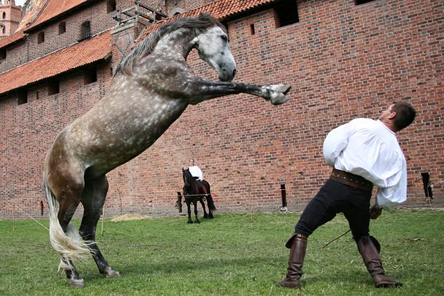 Wielki turniej zdjęcie nr 15137