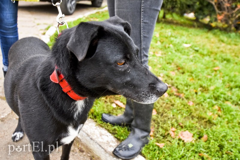 Galeria pod psem i kotem (Odc.29) zdjęcie nr 189540