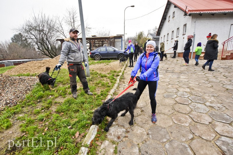 Pobiegli ponownie na sześć łap zdjęcie nr 189602