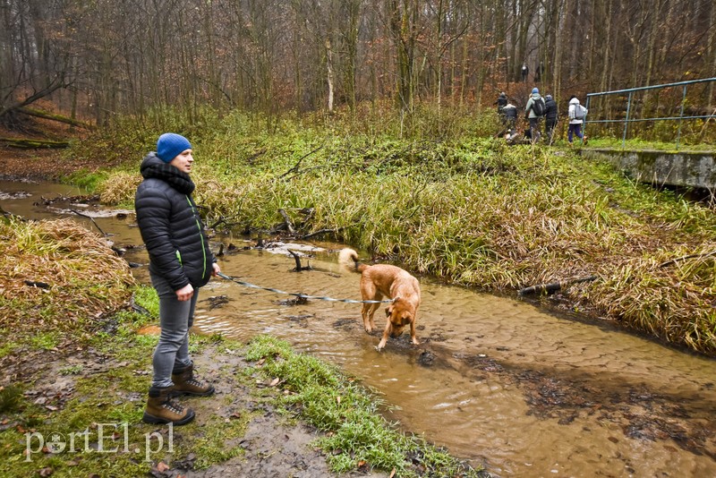 Pobiegli ponownie na sześć łap zdjęcie nr 189612