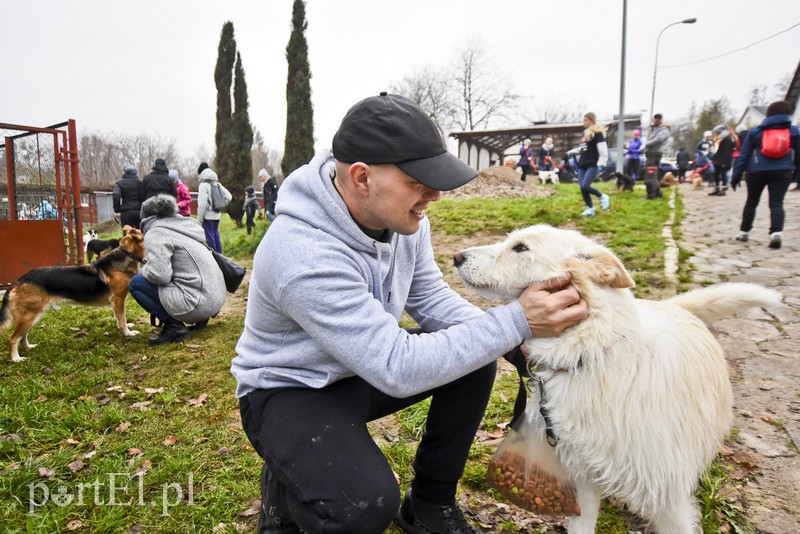 Pobiegli ponownie na sześć łap zdjęcie nr 189600