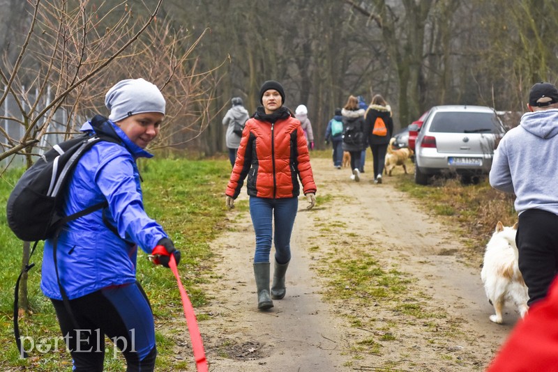 Pobiegli ponownie na sześć łap zdjęcie nr 189605