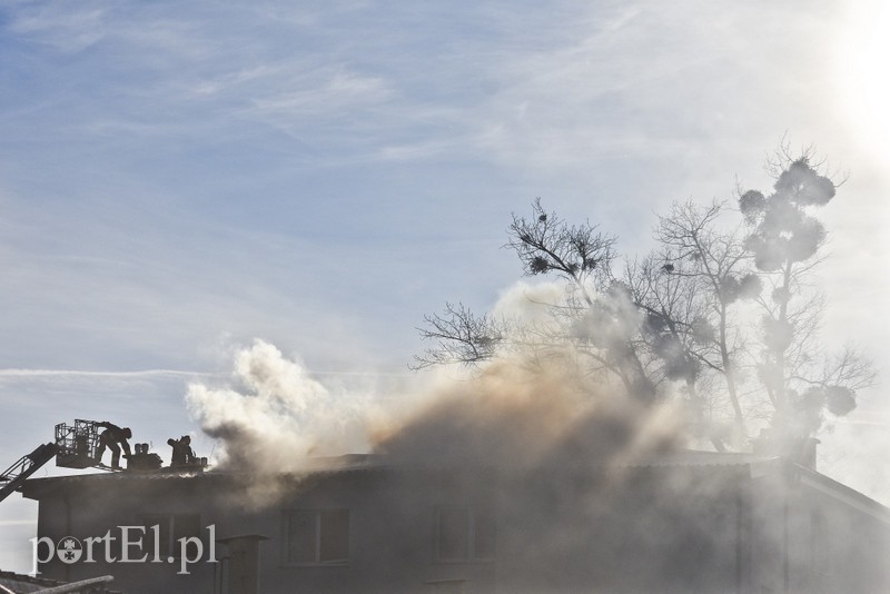 Pożar poddasza budynku przy ul. Dojazdowej zdjęcie nr 189940