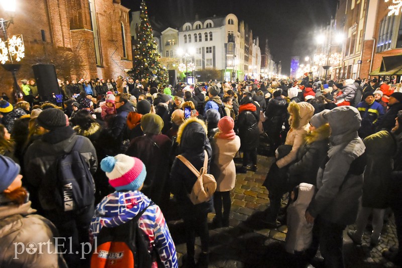 Choinka już zdobi Stare Miasto zdjęcie nr 190408