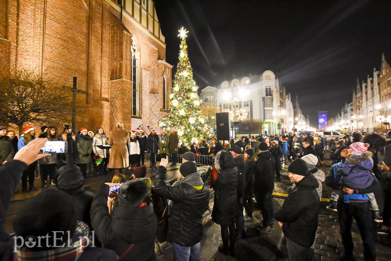 Choinka już zdobi Stare Miasto zdjęcie nr 190437