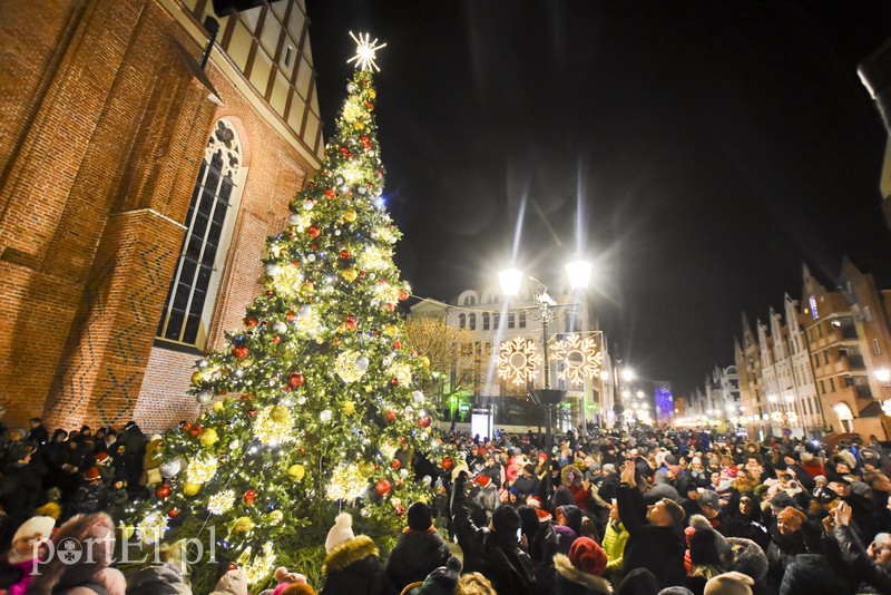 Choinka już zdobi Stare Miasto zdjęcie nr 190423