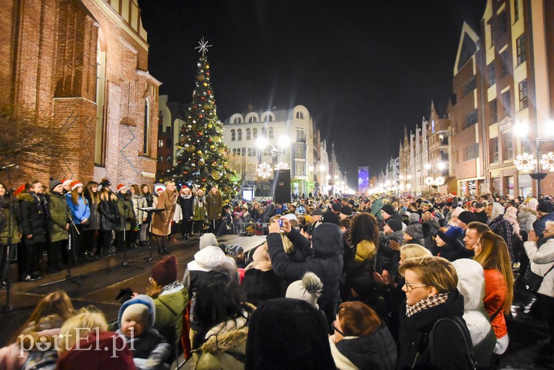 Choinka już zdobi Stare Miasto zdjęcie nr 190416