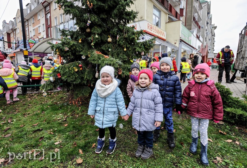 Tu ozdobą są ziarna i marchewki zdjęcie nr 191220