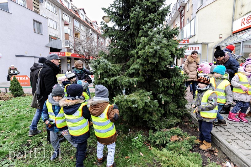 Tu ozdobą są ziarna i marchewki zdjęcie nr 191212