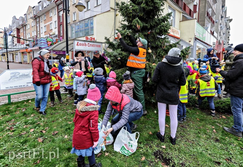 Tu ozdobą są ziarna i marchewki zdjęcie nr 191217