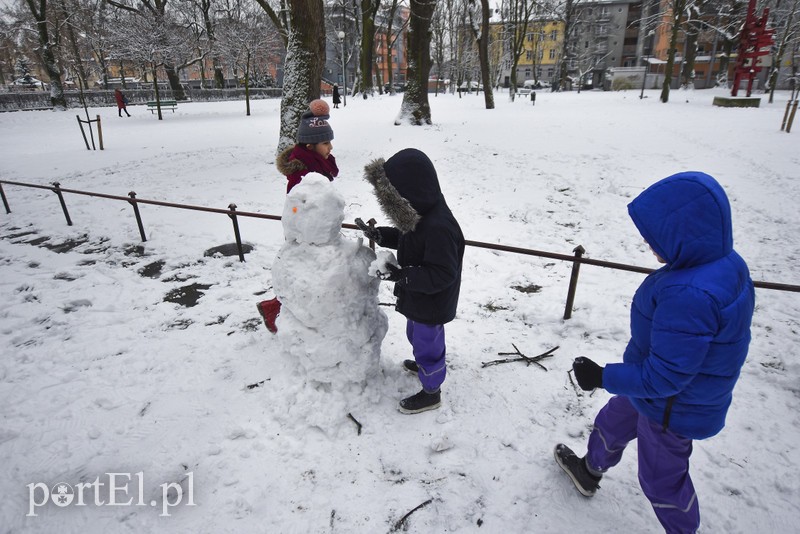 Jest śnieg, są problemy zdjęcie nr 192428