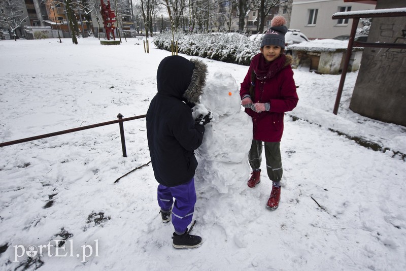 Jest śnieg, są problemy zdjęcie nr 192427