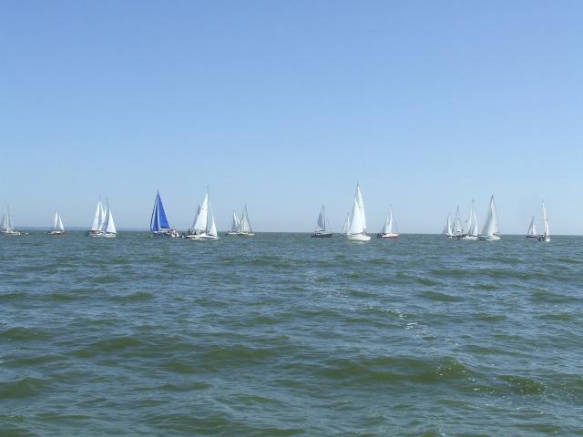 Białe żagle, szmaragdowa toń... zdjęcie nr 15476