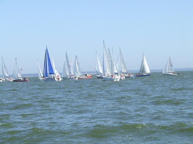 Białe żagle, szmaragdowa toń... zdjęcie nr 15478