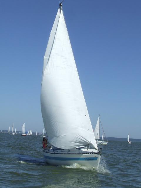 Białe żagle, szmaragdowa toń... zdjęcie nr 15466