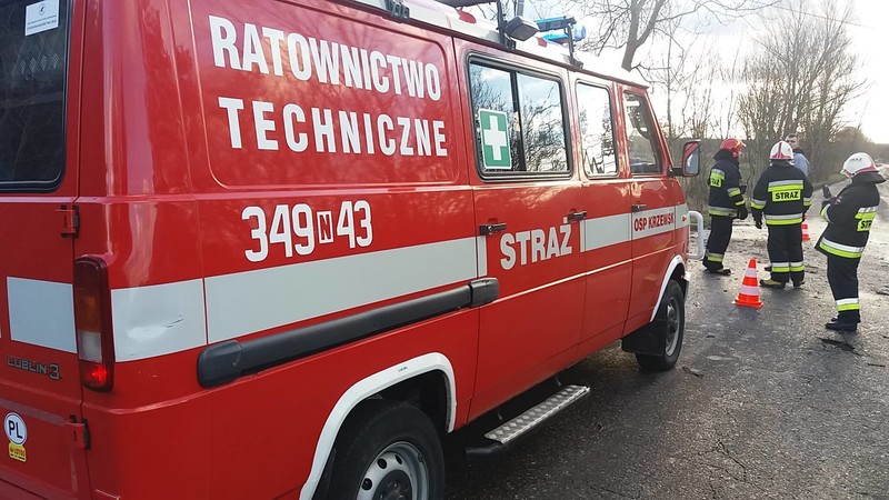 Uderzył w drzewo, nic mu się nie stało zdjęcie nr 193208