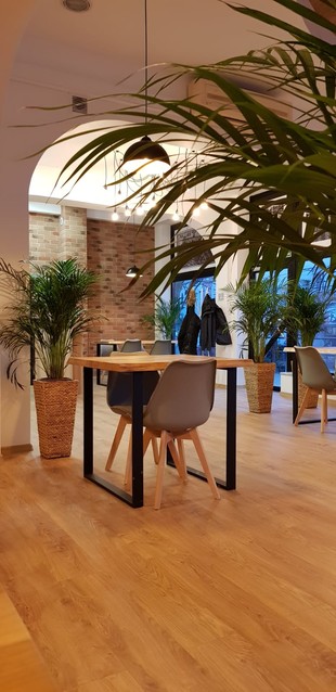 Kluska Elbląska - nowe miejsce dla fanów glutenu w Elblągu zdjęcie nr 193591