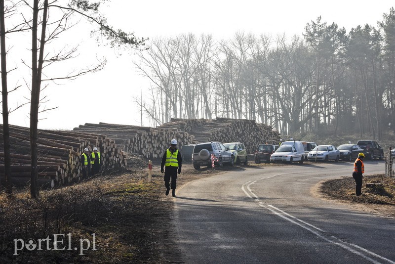 Wycinka, która budzi emocje zdjęcie nr 195024