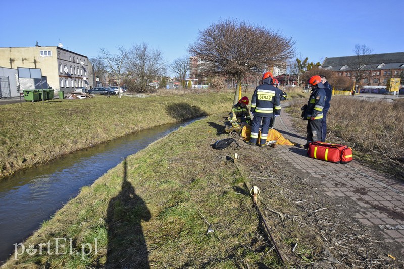 Elbląg Pijany mężczyzna wpadł do Kumieli