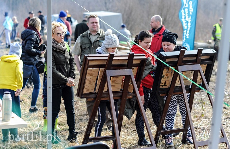 Niech się lasy pną do góry zdjęcie nr 197510