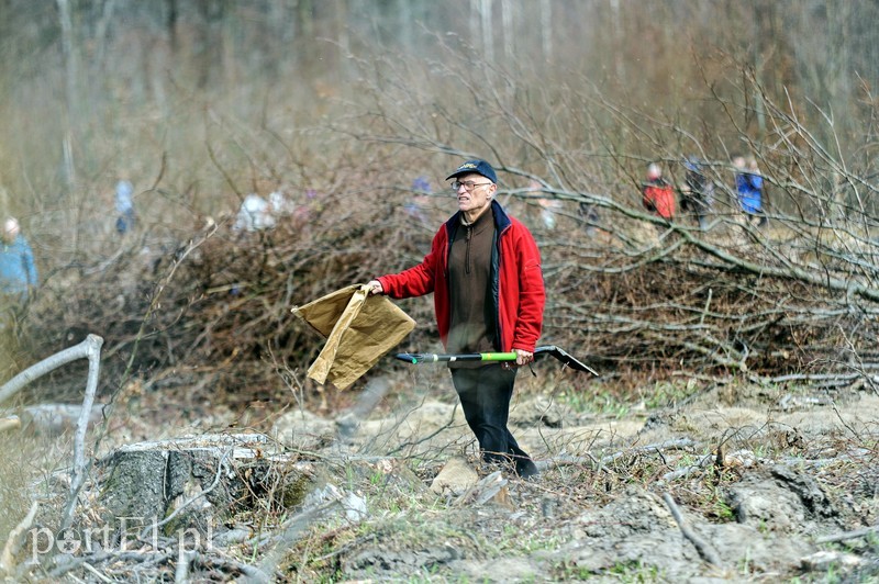 Niech się lasy pną do góry zdjęcie nr 197547