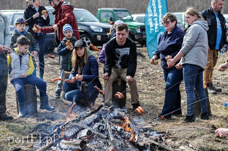 Niech się lasy pną do góry zdjęcie nr 197549