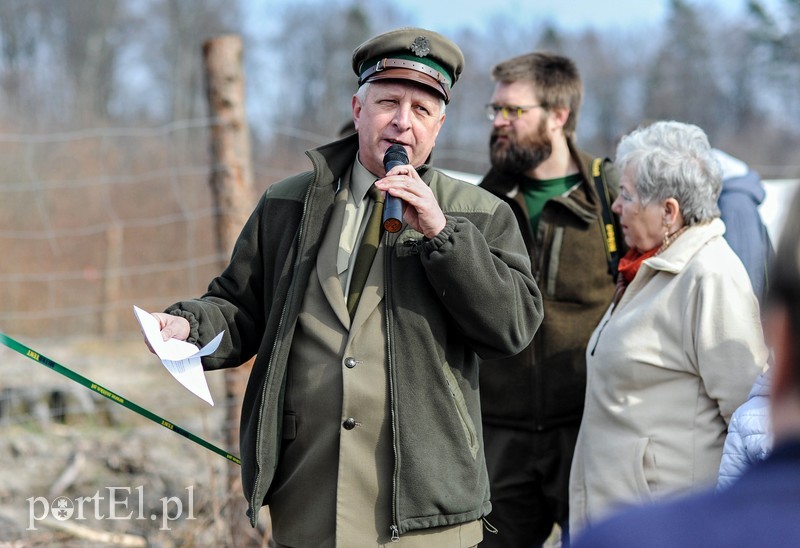 Niech się lasy pną do góry zdjęcie nr 197517