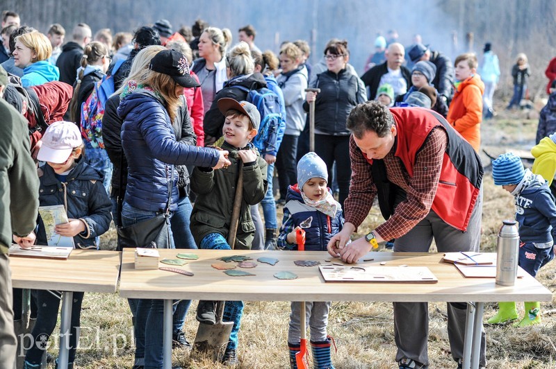 Niech się lasy pną do góry zdjęcie nr 197514